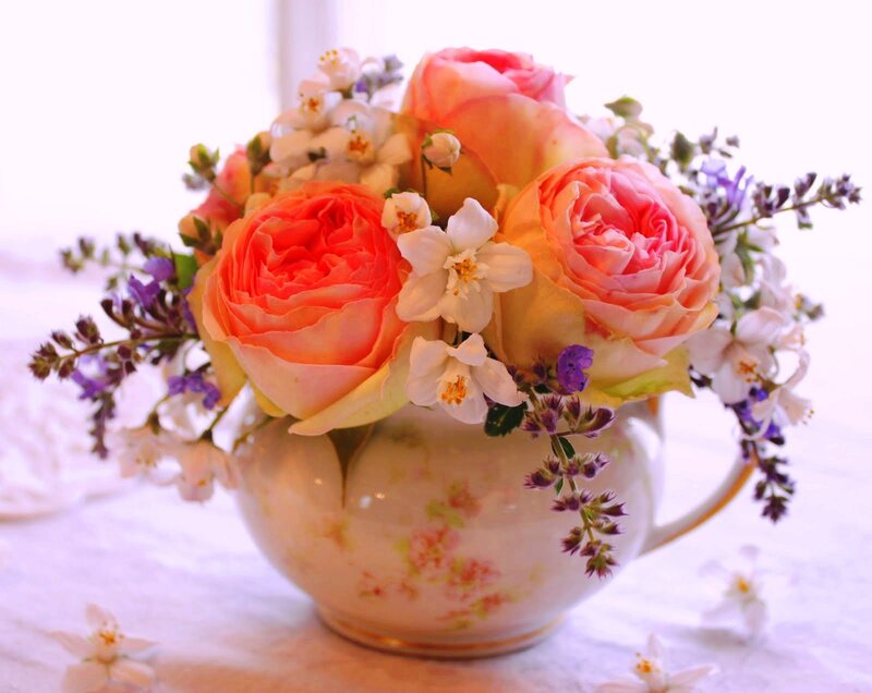 Roses in a Teacup — Pink, Serene, Morning