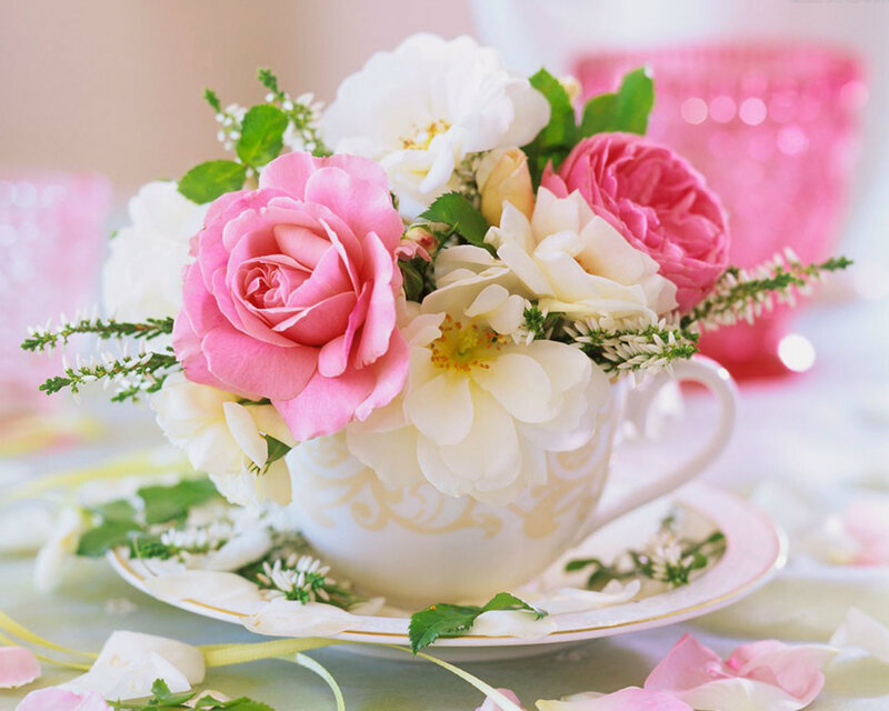 Roses in a Teacup — Pink, Serene, Photograph, Saucer, Flowers