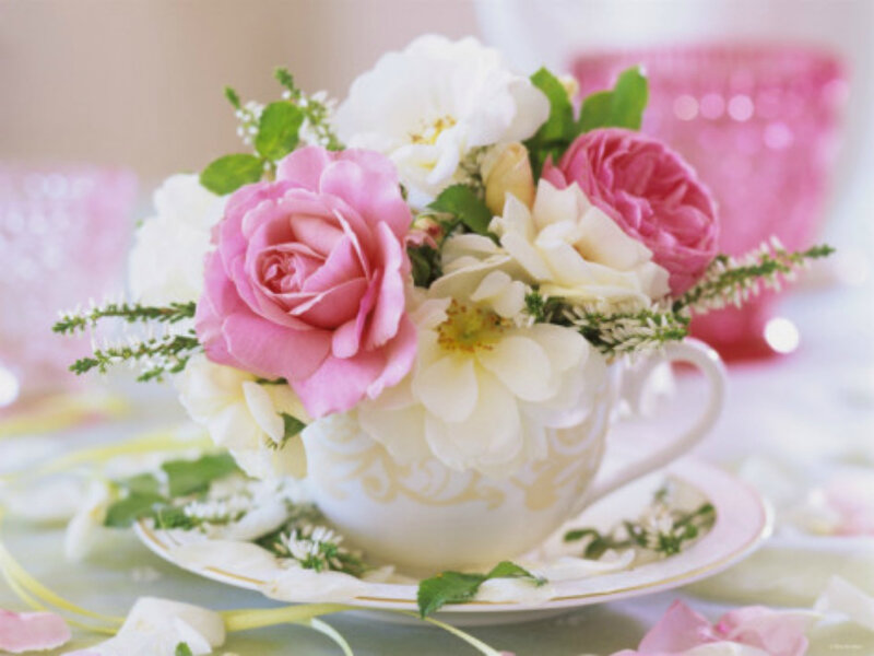 Roses in a Teacup — Pink, Serene, Photograph