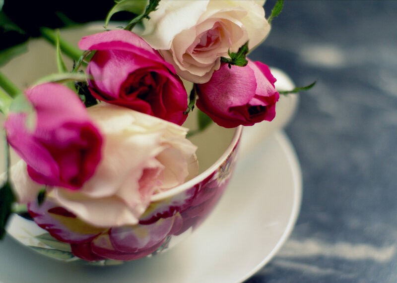 Roses in a Teacup — Pink