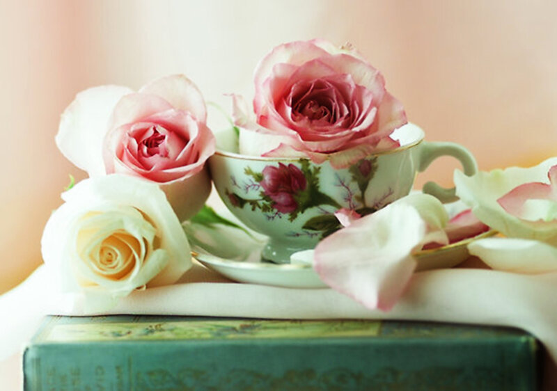 Roses in a Teacup