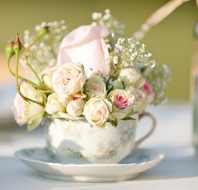 Roses in a Teacup — White, Serene, Afternoon