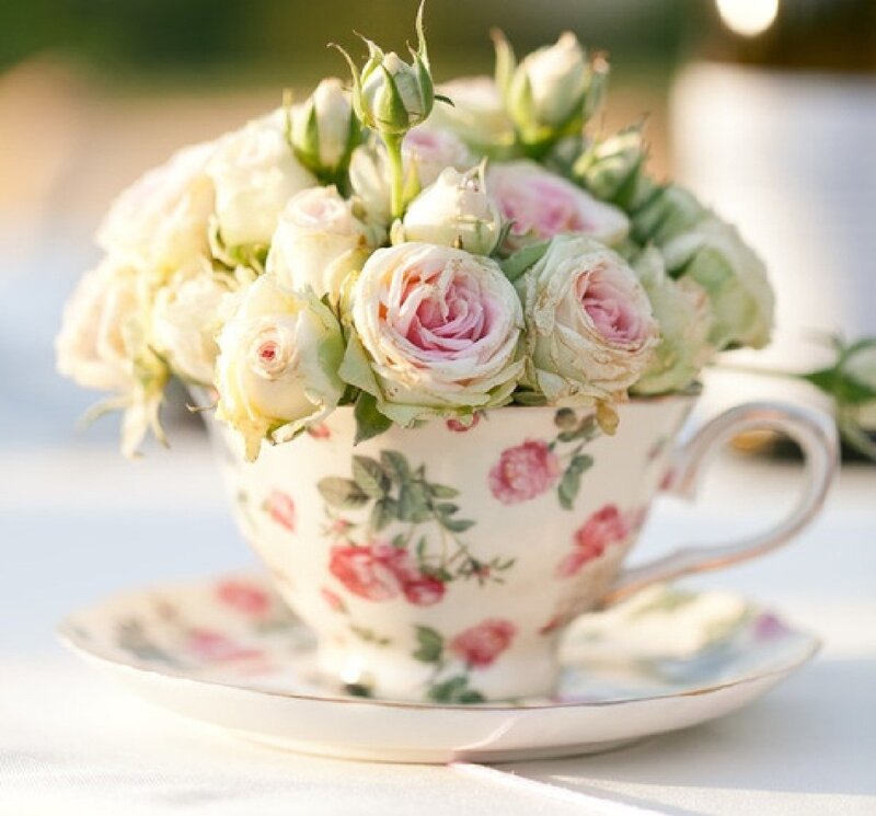 Roses in a Teacup — White, Serene