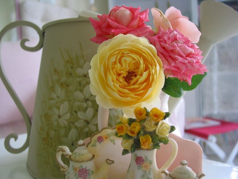 Roses in a Teapot