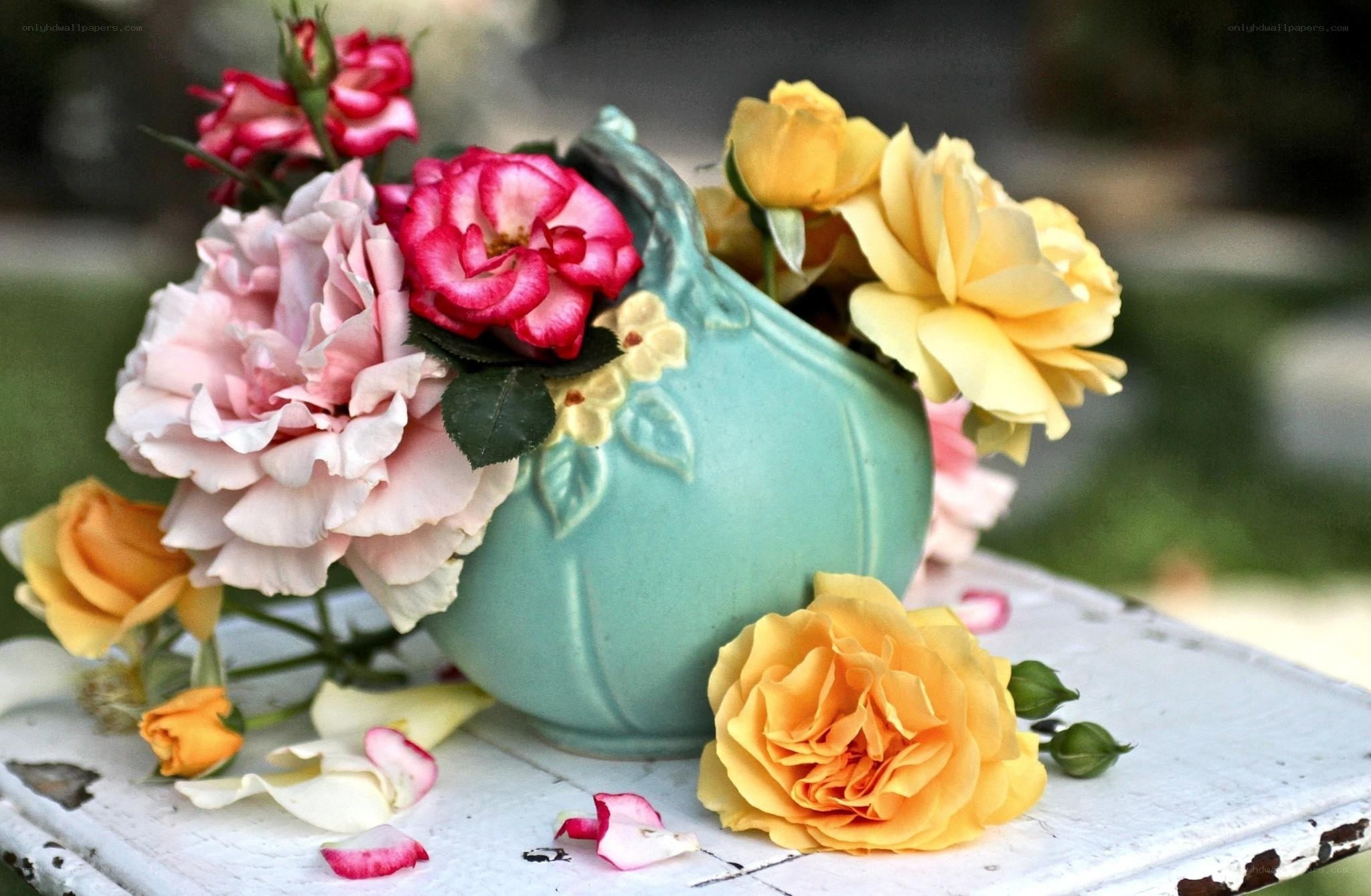 Roses in a turquoise vase