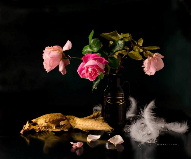 Roses in a Vase — Black, Dramatic, Photograph