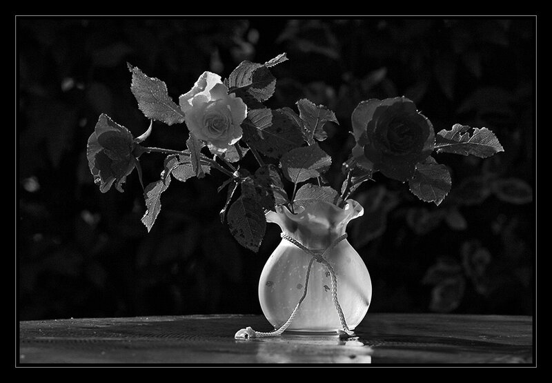 Roses in a Vase — Black