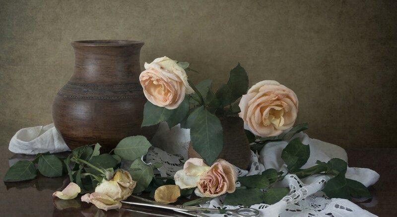 Roses in a Vase — Brown, Calm, Photograph, Scissors