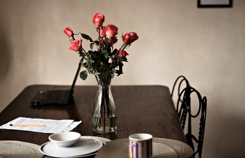 Roses in a Vase — Brown, Calm, Photograph