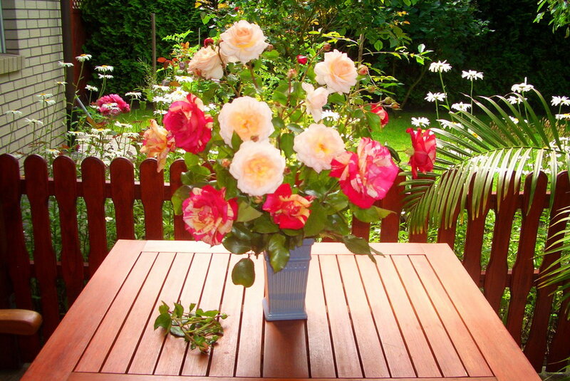 Roses in a Vase — Brown, Serene, Afternoon