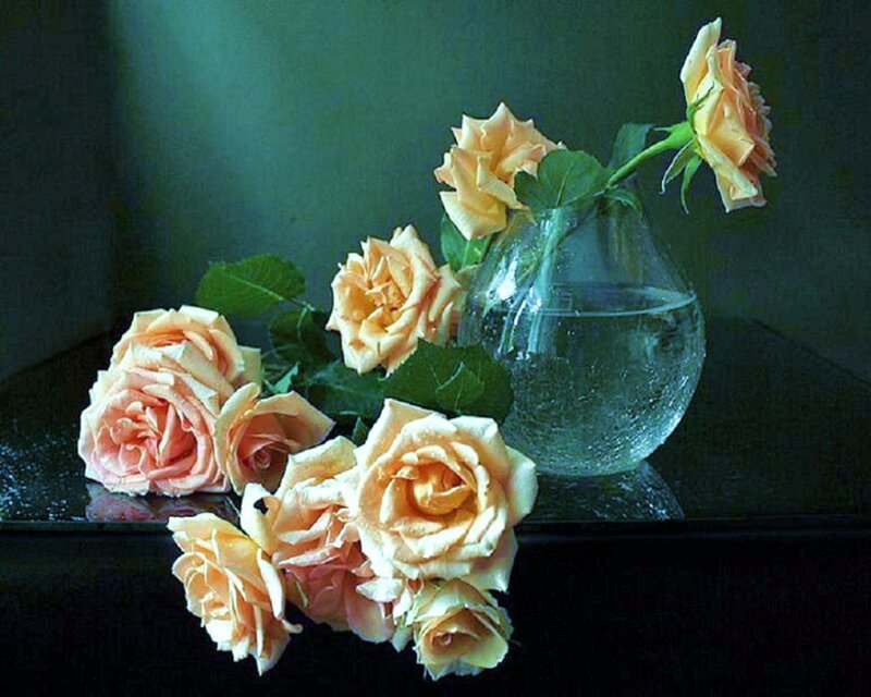 Roses in a Vase — Green, Calm, Photograph