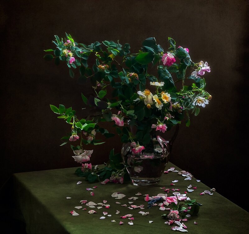 Roses in a Vase — Green, Dramatic, Photograph