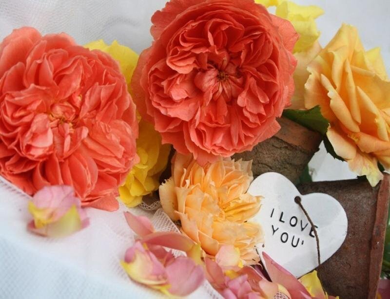 Roses in a Vase — Orange
