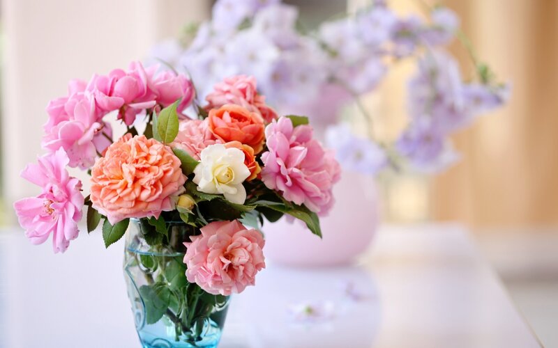 Roses in a Vase — Pink, Calm, Afternoon