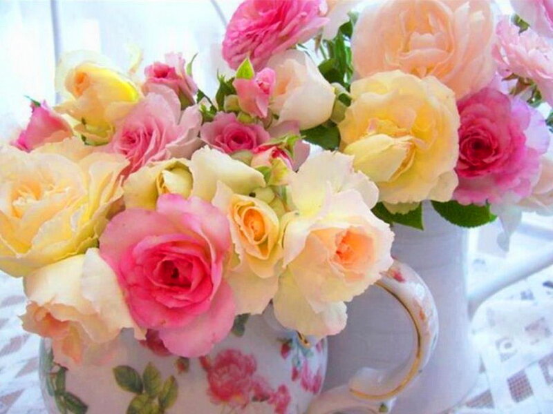 Roses in a Vase — Pink, Calm, Morning, Photograph