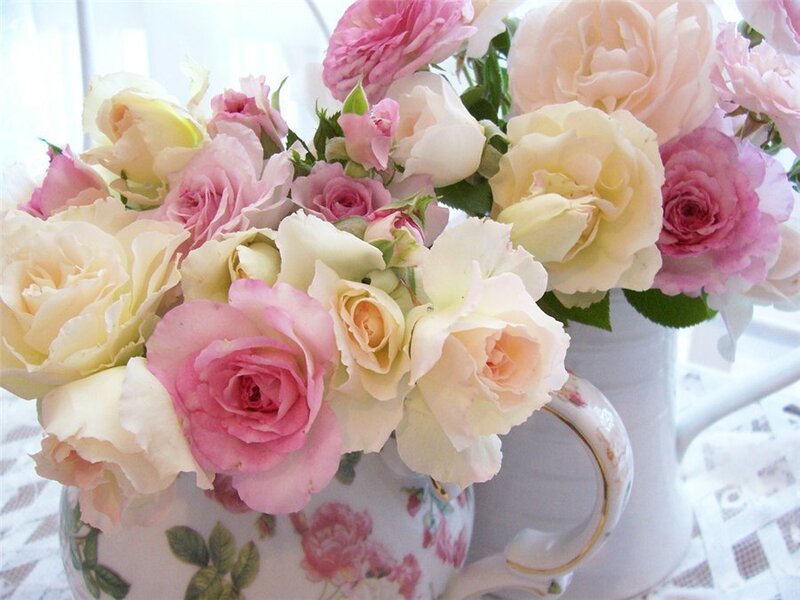Roses in a Vase — Pink, Calm, Morning