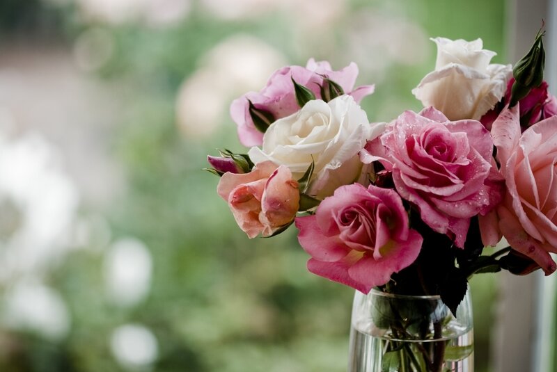 Roses in a Vase — Pink, Calm, Photograph, Bloom