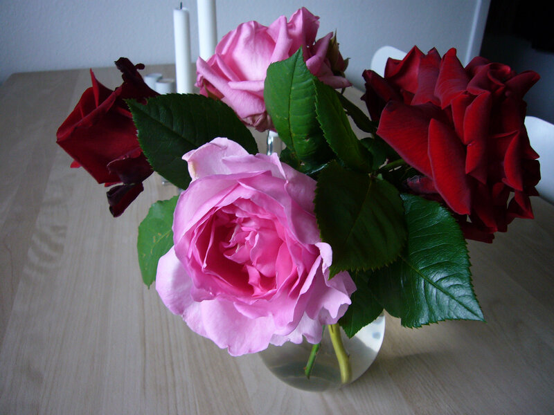 Roses in a Vase — Pink, Calm, Photograph, Candles
