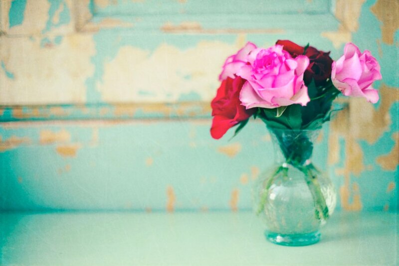 Roses in a Vase — Pink, Calm, Photograph, Flowers, Wall