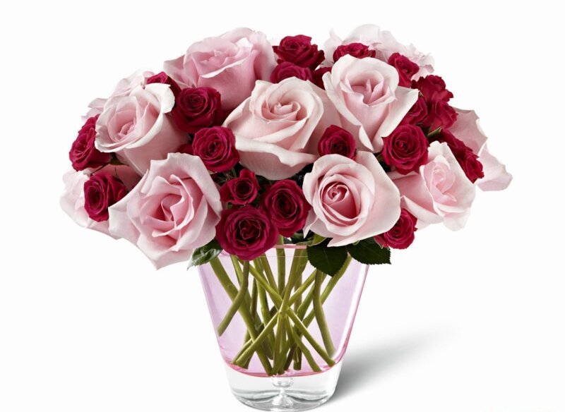 Roses in a Vase — Pink, Calm, Photograph, Green Stems