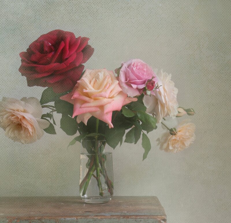 Roses in a Vase — Pink, Calm, Photograph, Table