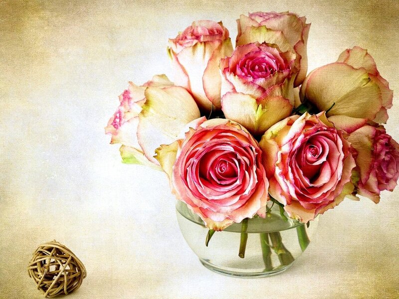 Roses in a Vase — Pink, Calm, Photograph, Woven Ball