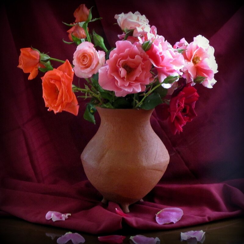 Roses in a Vase — Pink, Dramatic, Photograph, Petals