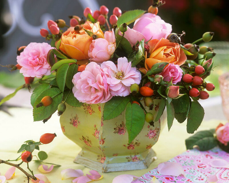Roses in a Vase — Pink, Serene, Afternoon, Photograph, Berries