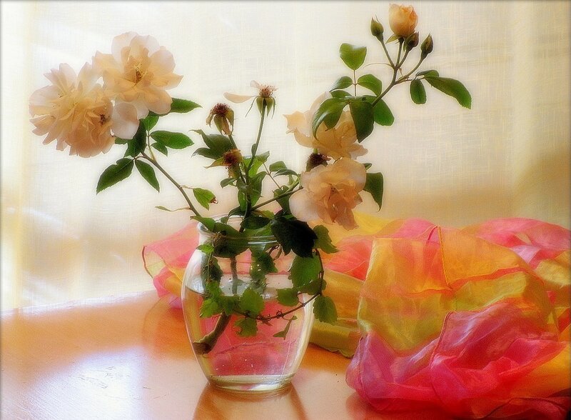 Roses in a Vase — Pink, Serene, Afternoon, Photograph, Fabric