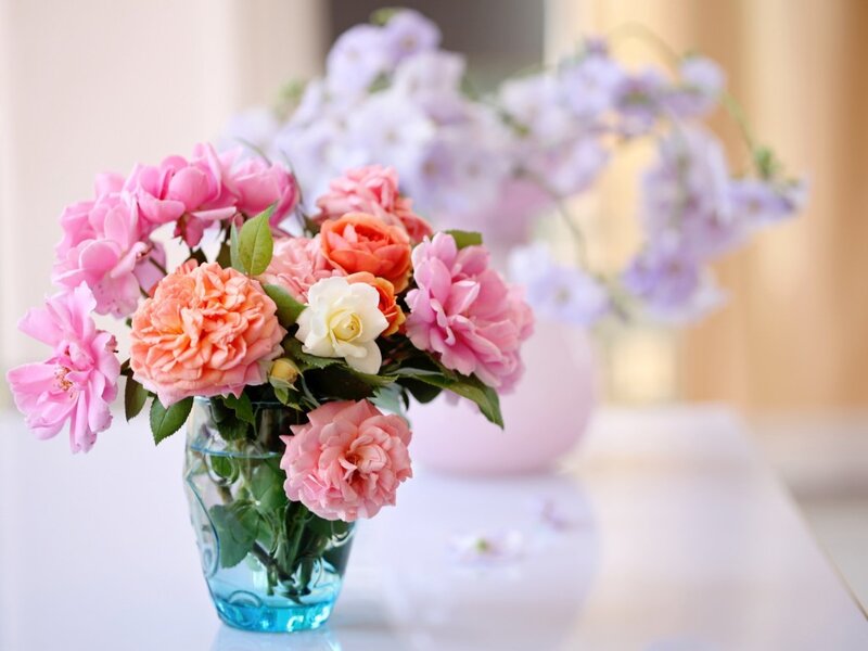 Roses in a Vase — Pink, Serene, Afternoon, Photograph, Flowers