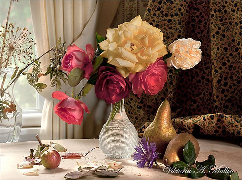 Roses in a Vase — Pink, Serene, Afternoon, Photograph, Pear
