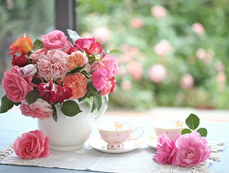 Roses in a Vase — Pink, Serene, Afternoon, Photograph, Teacups