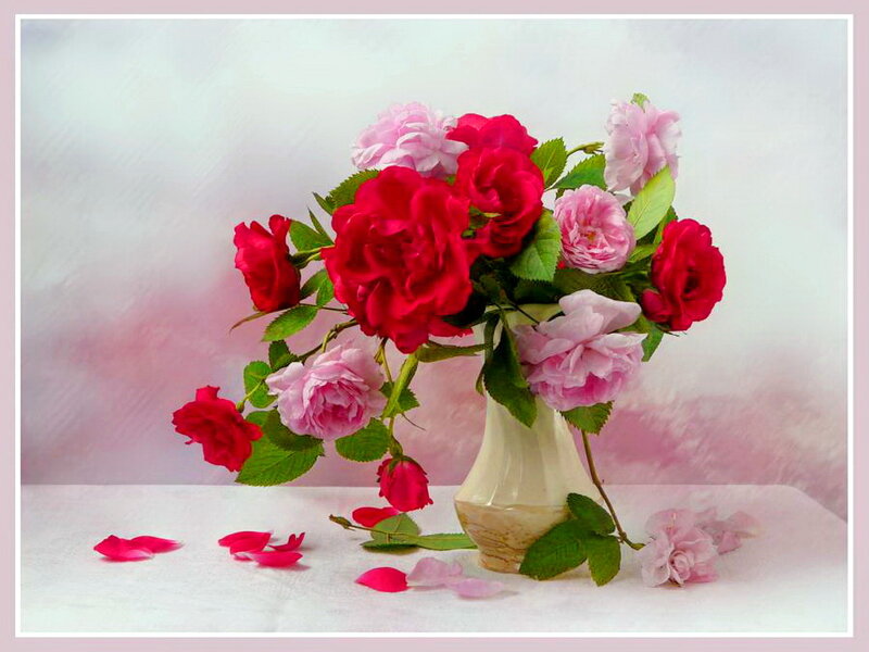 Roses in a Vase — Pink, Serene, Photograph, Petals