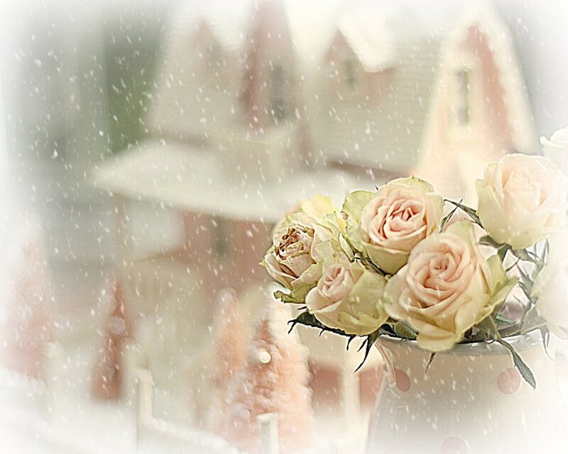 Roses in a Vase — Pink, Serene, Winter