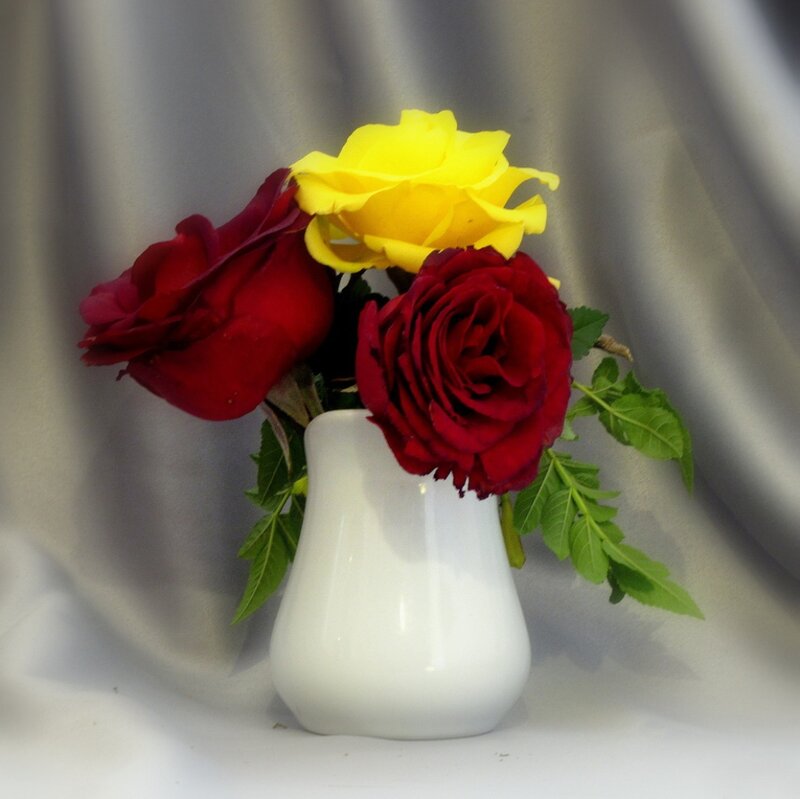 Roses in a Vase — Red, Calm, Photograph, Flowers, Leaves