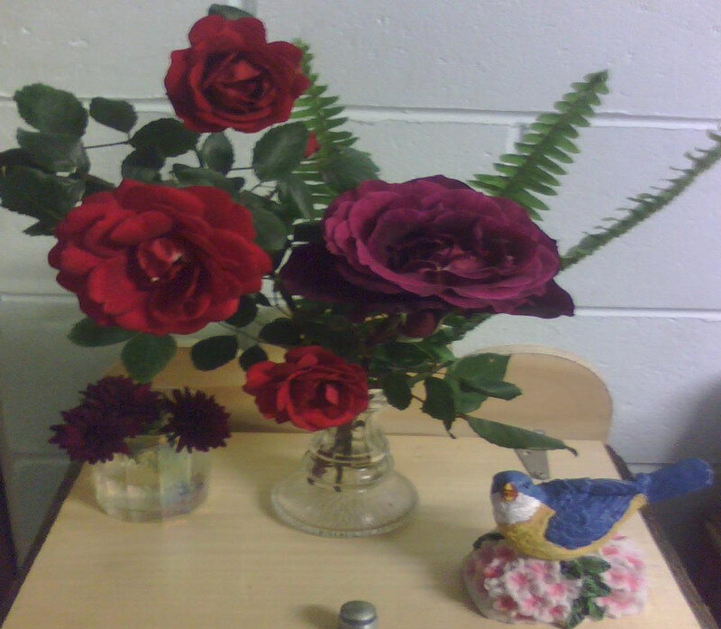 Roses in a Vase — Red, Calm, Photograph