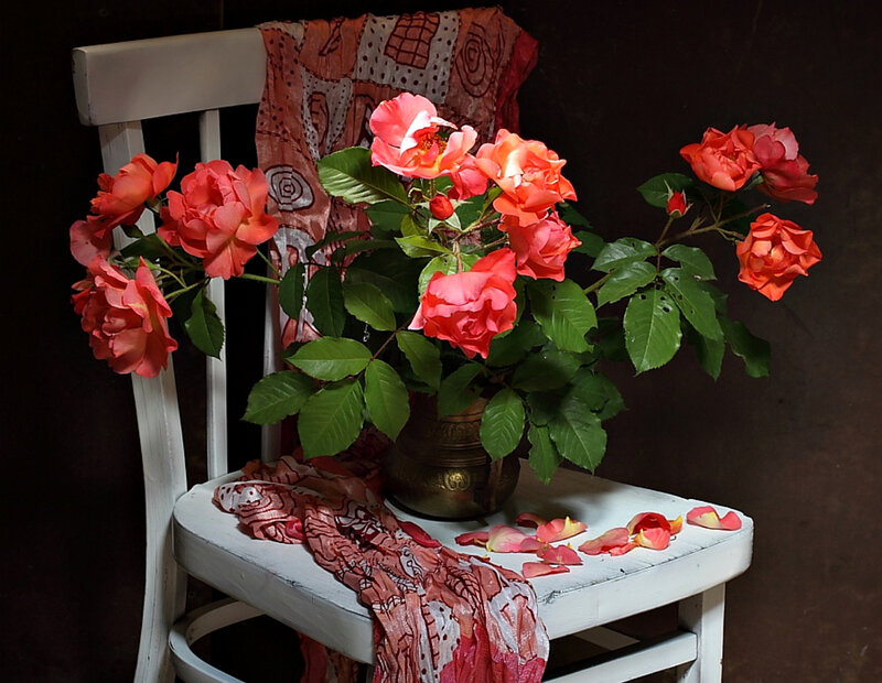 Roses in a Vase — Red, Dramatic, Photograph, Chair