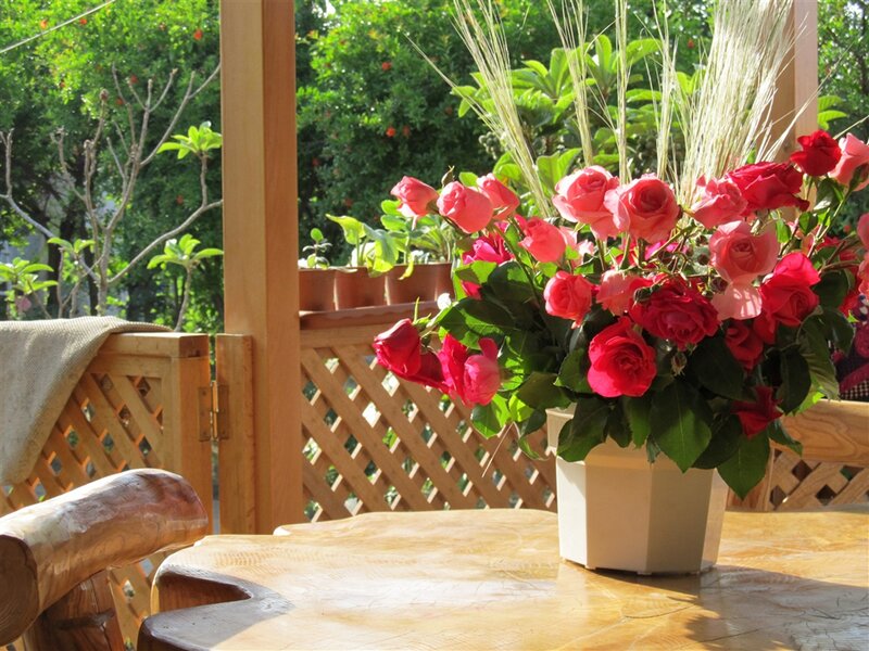 Roses in a Vase — Red, Serene, Afternoon