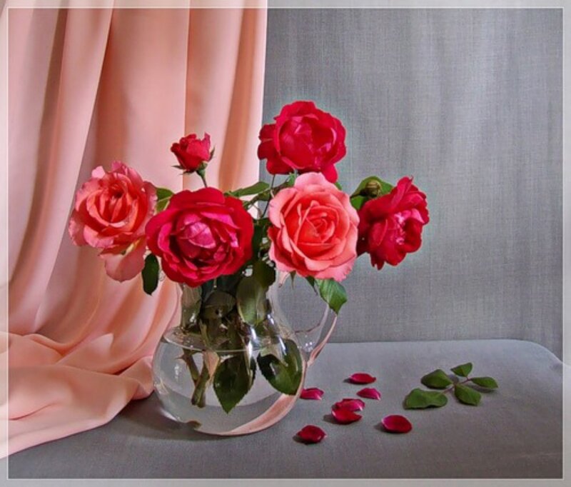Roses in a Vase — Red, Serene, Photograph, Curtain
