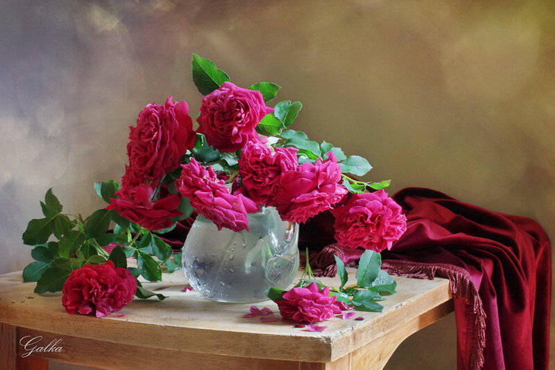 Roses in a Vase — Red, Serene, Photograph, Table