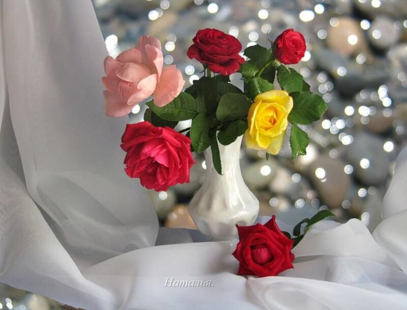 Roses in a Vase — Red, Serene, Photograph