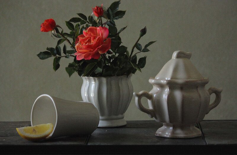 Roses in a Vase — White, Calm, Photograph
