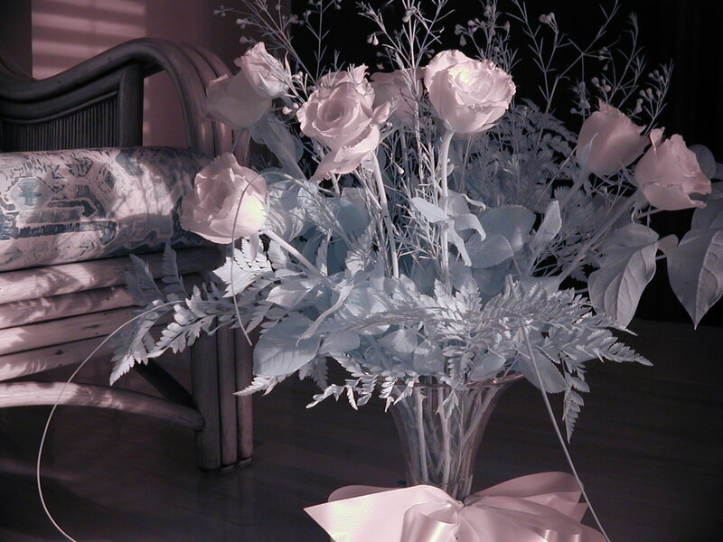Roses in a Vase — White, Serene, Night