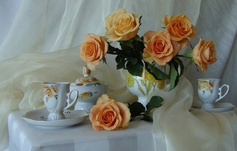 Roses in a Vase — White, Serene, Photograph, Teacups