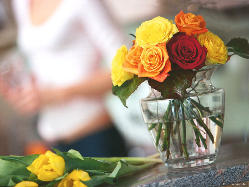 Roses in a Vase — Yellow, Calm, Photograph