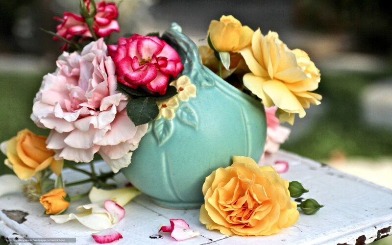 Roses in a Vase — Yellow, Serene, Afternoon