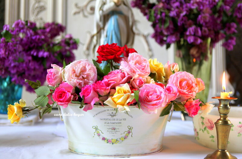 Roses in a White Bucket
