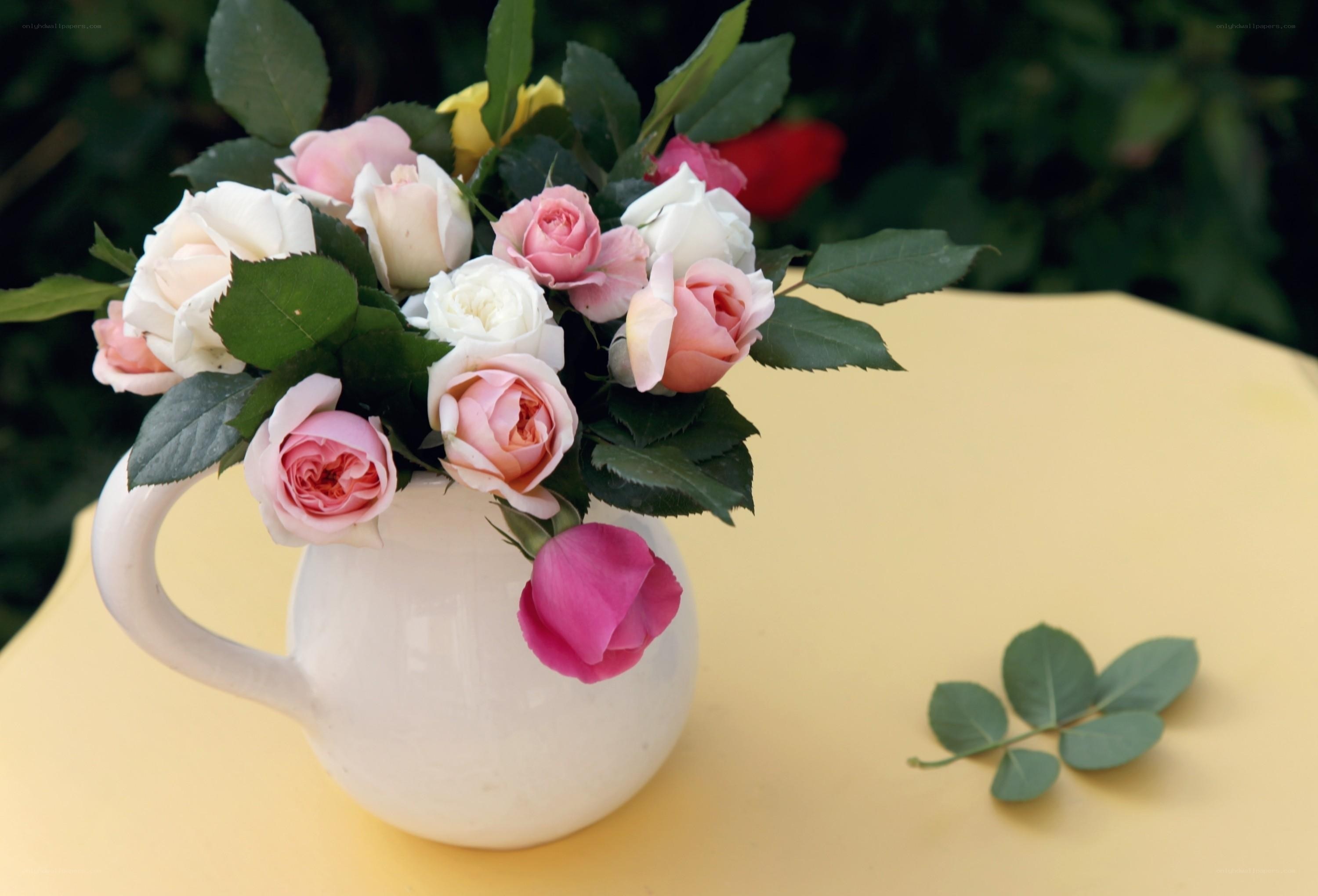 Roses in a white pitcher