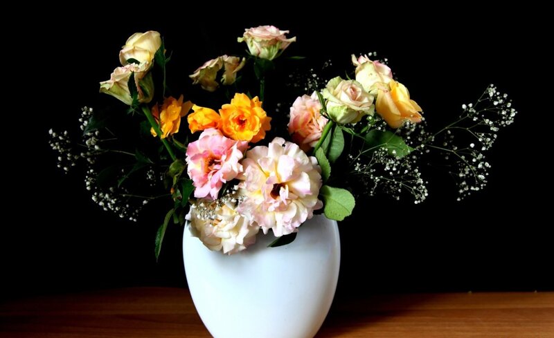 Roses in a White Vase — Dramatic