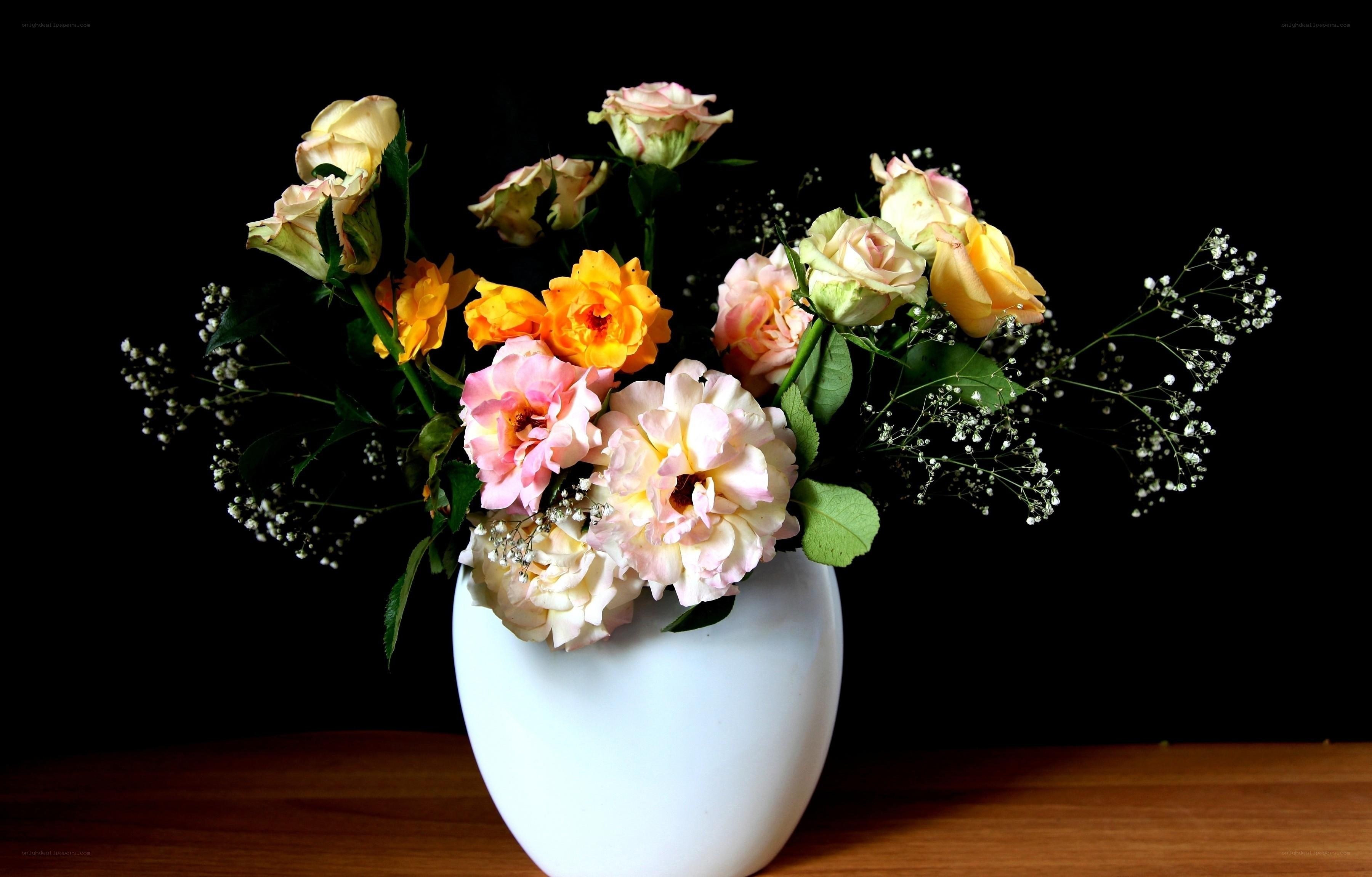 Roses in a white vase